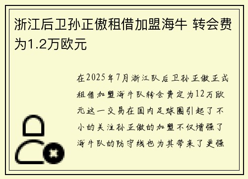 浙江后卫孙正傲租借加盟海牛 转会费为1.2万欧元